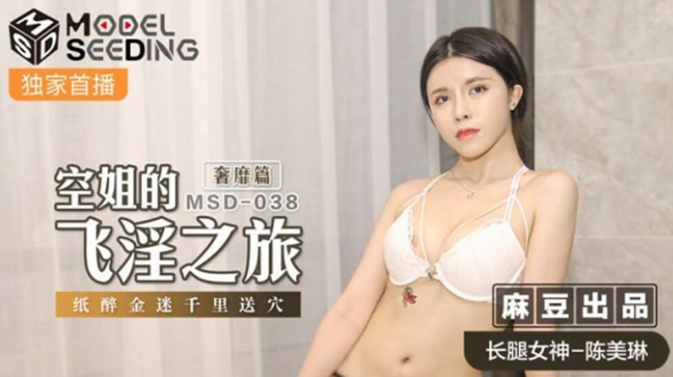 麻豆-空姐的飞淫之旅奢靡篇纸醉金迷千里送穴-陈美琳